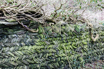 stonewall made from stonework, delimitation of territory; Gray and green stones stacked to form sloping rows.