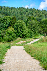 empty country gravel road with mud puddles and bumps
