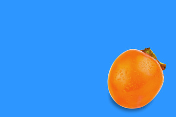 One wet whole ripe persimmon with water drops on blue background with copy space for your text