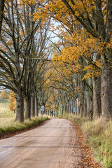 empty country gravel road with mud puddles and bumps