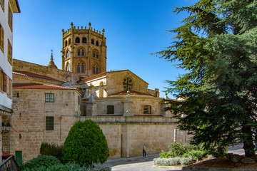 Fototapeta na wymiar gothic dome of the cathedral of Orense, dedicated to San Martin