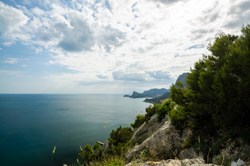 tropical island in the sea