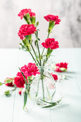 Bouquet of pink carnation in glass vase on light turquoise wooden background. Mothers day, birthday greeting card. Copy space.