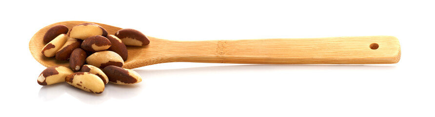 Brazil nut wooden spoon. Isolated on white background. Place for text. American walnut, Bertholletia.