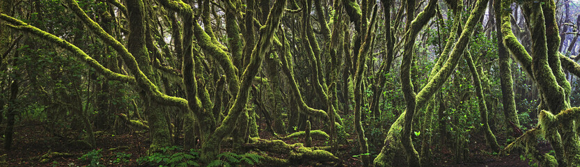Garajunay La Gomera