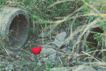Little red heart pillow falls in the culvert rice field after harvest.