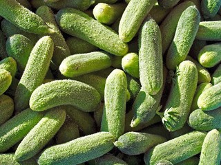 Delicious gherkins at a food market