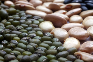 Various beans close up