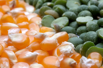 Various seeds and grains close up