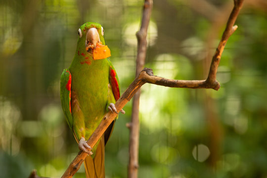Naturaleza