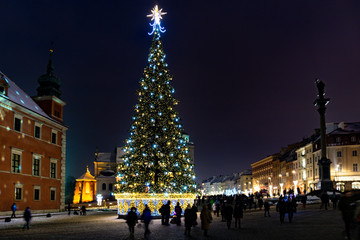 Fototapeta na wymiar Warsaw Castle Square with Christmas tree after nightfall