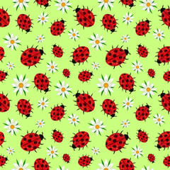 Seamless pattern of ladybugs and daisies salad