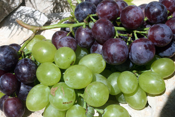 Grapes on a stone background