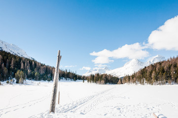 St. Moritz, Stazersee, Stazerwald, Bergsee, Eisfläche, Winter, Wintersport, Winterwanderweg, Oberengadin, Alpen, Graubünden, Schweiz