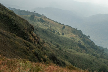 slope cilff on mountain cover with green grass and tree with some smog