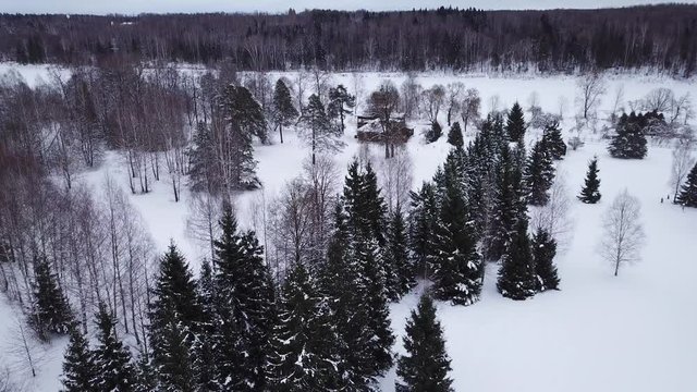 Winter landscape of the museum of I.E. Repin