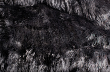 Mode Schwarz Weißes Kaninchenfell als Hintergrund Fotografiert