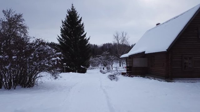 Winter landscape of the museum of I.E. Repin