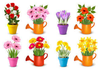 Mega collection of spring and summer colorful flowers in pots.  Vector