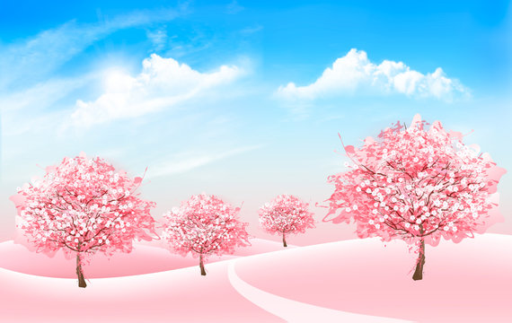 Spring nature background with blossom sakura trees and blue sky with clouds. Vector.