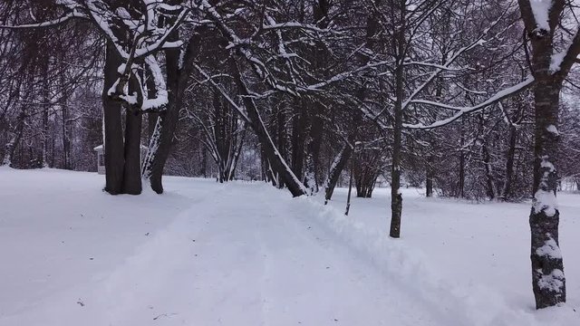 Winter landscape of the museum of I.E. Repin
