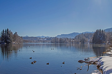 Isarstausee bei Bad Tölz im Winter