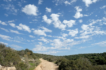 Fields, hills and beautiful sky in Judea, Israel