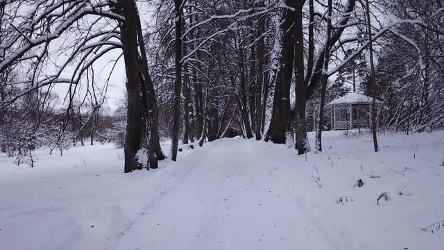 Winter landscape of the museum of I.E. Repin