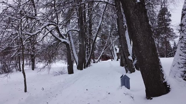 Winter landscape of the museum of I.E. Repin