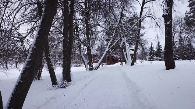 Winter landscape of the museum of I.E. Repin