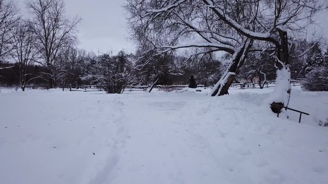 Winter landscape of the museum of I.E. Repin