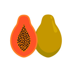 papaya isolated on white background. tropical fresh fruit. vector