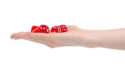 Dices in hand on white background isolation
