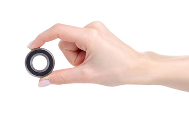 Bearing in hand on white background isolation