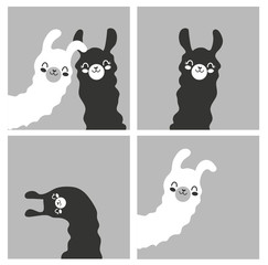 Set of cartoon pictures, images, photography with llama family black and white color. Gray background. Vector illustration. Flat design.