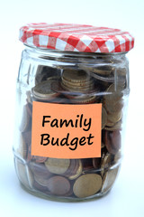 Family budget
