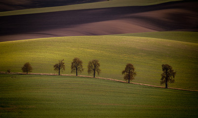 The last autumn rays of the sun in the landscape