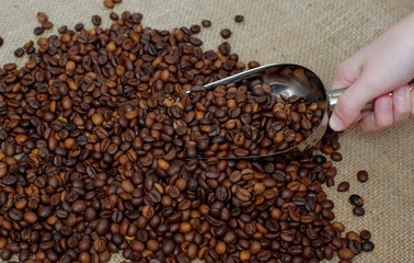 Stainless steel spoon picking up roasted coffee beans.