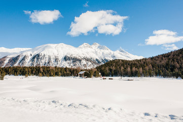 Pontresina, Stazersee, Stazerwald, Winter, Wintersport, Wanderweg, Alpen, Piz Languard, Oberengadin, Graubünden, Schweiz
