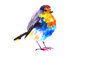 Hand drawn watercolor robin bird with bright feathers on long legs, with paint spreads and granulation isolated on white background