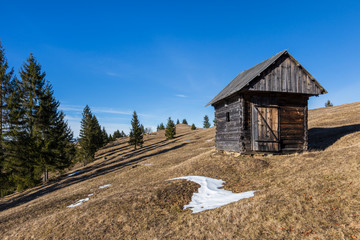 Spring Landscape in the mountains withpine trees and the wooden shepherd cottage, Carpathian mountains