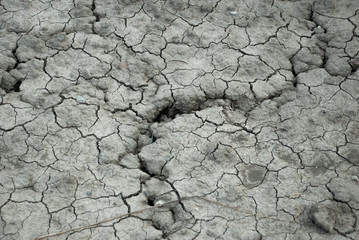 Dried soil