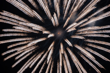 Obraz premium Firework on black background