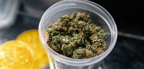 New medical strains of marijuana.