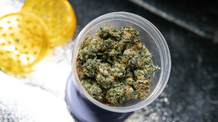 marijuana buds close-up