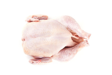 raw chicken carcass on white © arybickii