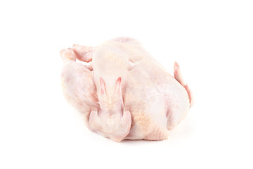 raw chicken carcass on white © arybickii