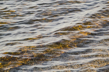 waves on the beach