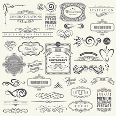 Calligraphic Design Elements and Frames. Vintage Collection. Vector.