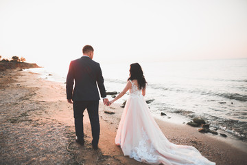 Elegant stylish happy wedding couple, bride, gorgeous groom on the background of sea and sky